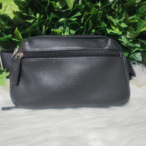 Mini Waistpak Fanny Pak